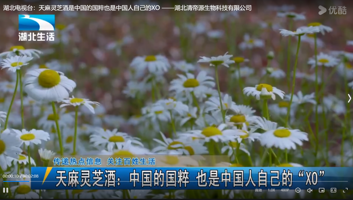 湖北电视台:天麻灵芝酒是中国的国粹也是中国人自己的XO &mdash;&mdash;湖北清帝源生物科技有限公司